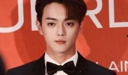 王照达爆料许凯视频,揭秘背后惊人内幕