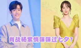 谁爆料肖战杨紫了呢视频,网友热议背后的真相